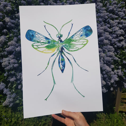 A3 Parasitic Wasp Poster