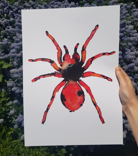 A3 Tarantula Poster