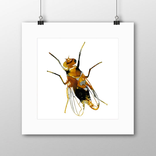 Fly Giclée Print