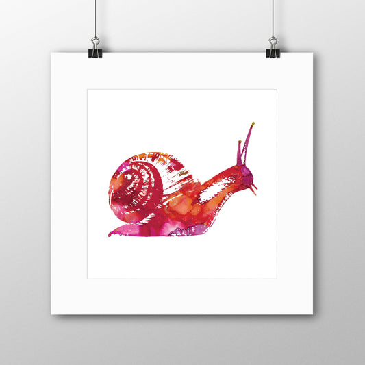 Snail Giclée Print