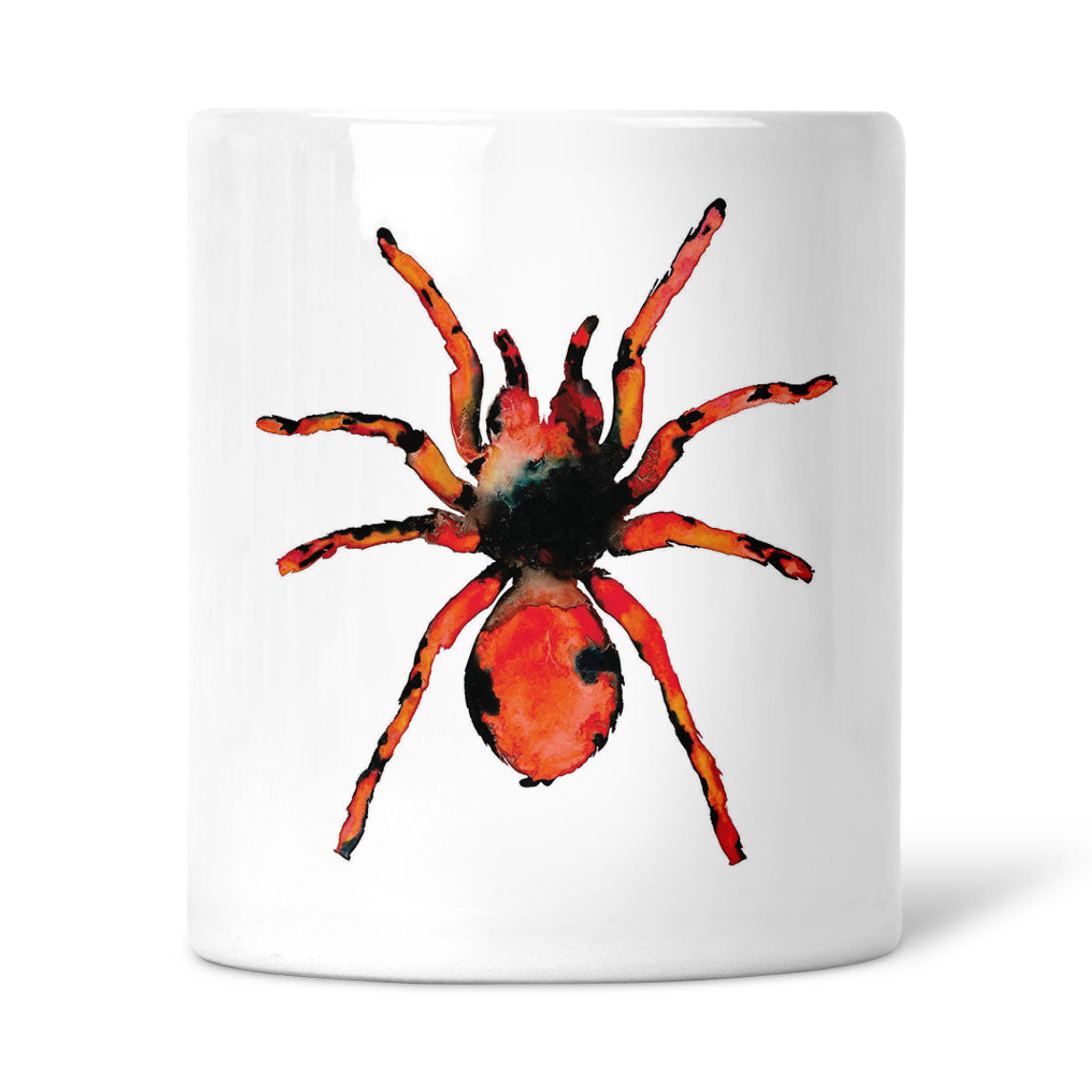Tarantula Ceramic Pot