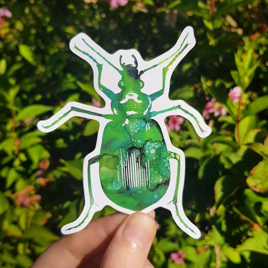 Beetle Sticker